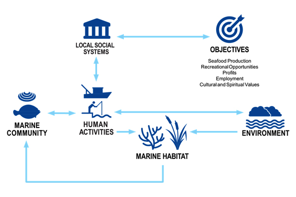 fisheries-software